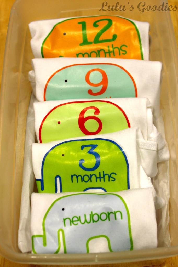 Baby Age by Month Elephant Onsies