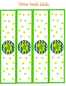StPattys Day Water Bottle Labels